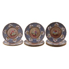 Set of 12 Royal Doulton Porcelain Plates Depicting Game Birds