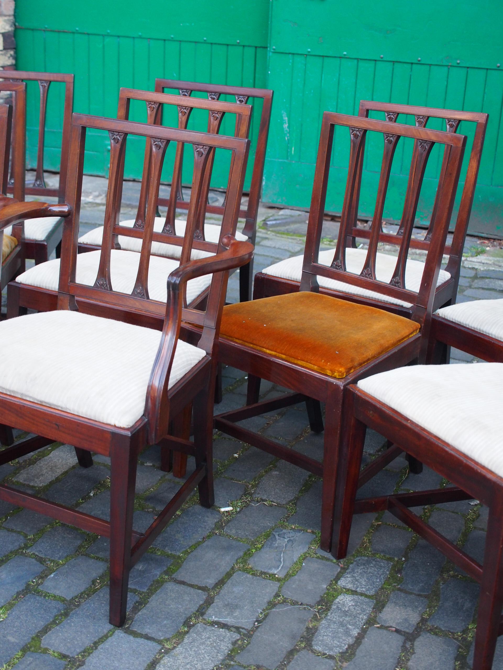 Set of 12 Scottish George III Mahogany Dining Chairs For Sale 6
