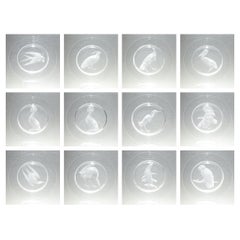Ensemble de 12 assiettes Audubon en cristal ou en verre gravé Steuben Wheel de Sydney Waugh