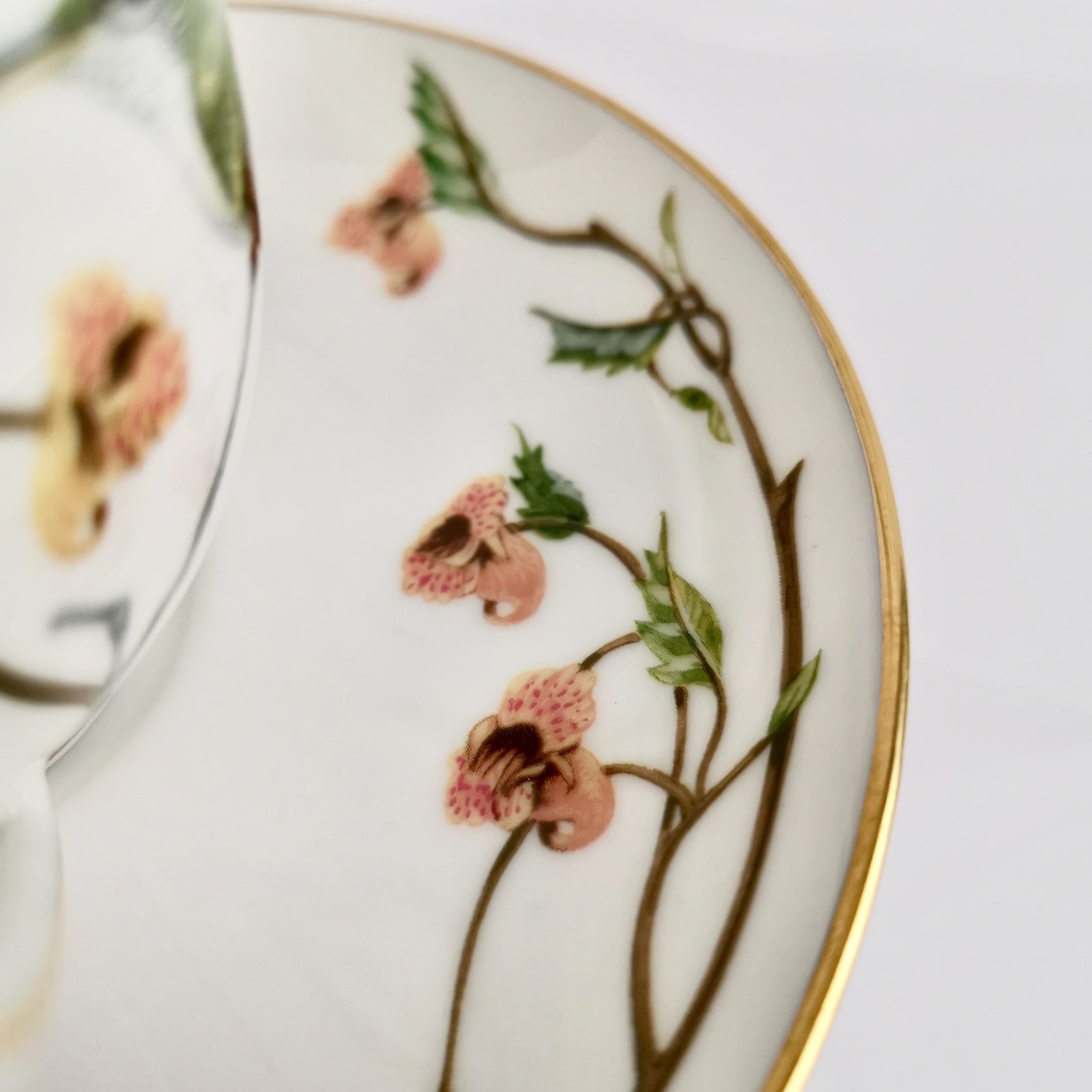 Set of 12 Vintage Bavaria Cups and Saucers, Hummingbirds of the World, 1979 8