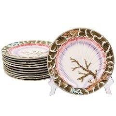 Set of Twelve Wedgwood Seaweed Majolica Plates England, circa 1880