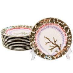 Set of Twelve Wedgwood Seaweed Majolica Plates England, circa 1880 