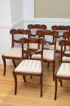 Set Of 12 William IV Mahogany Dining Chairs