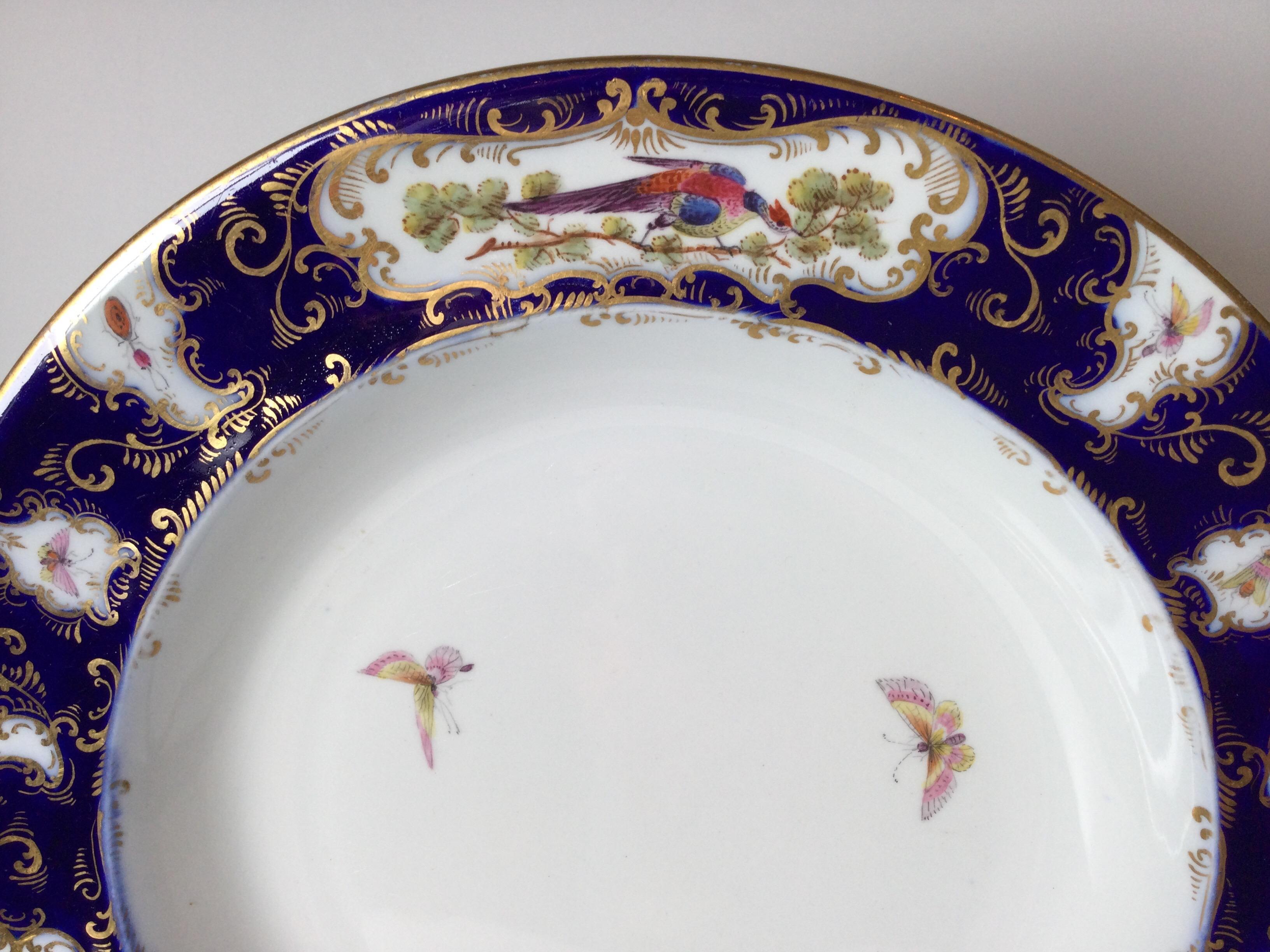 Set of 12 Worcester Porcelain Chelsea Bird Shallow Bowls For Sale 4