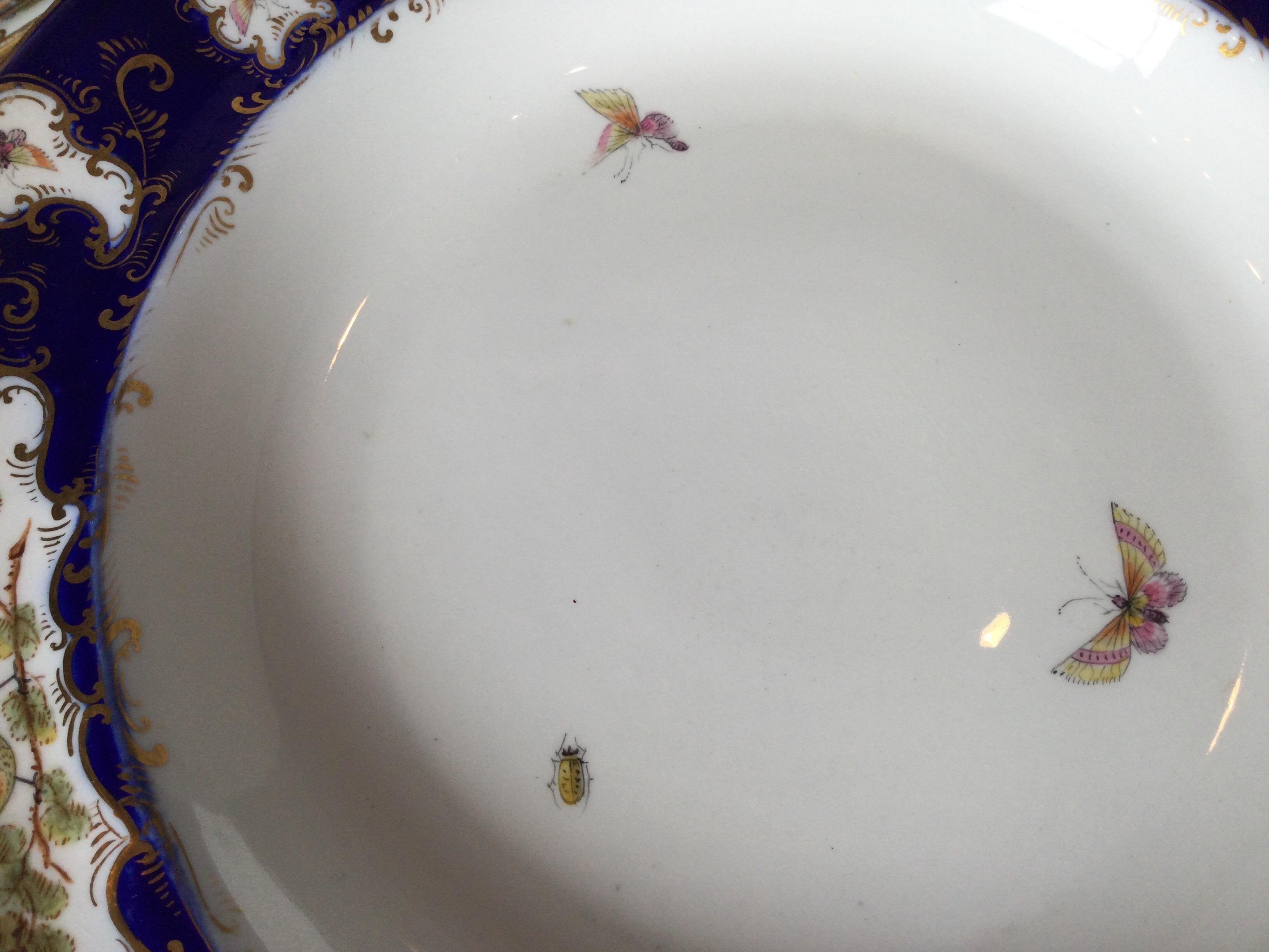 Set of 12 Worcester Porcelain Chelsea Bird Shallow Bowls For Sale 2