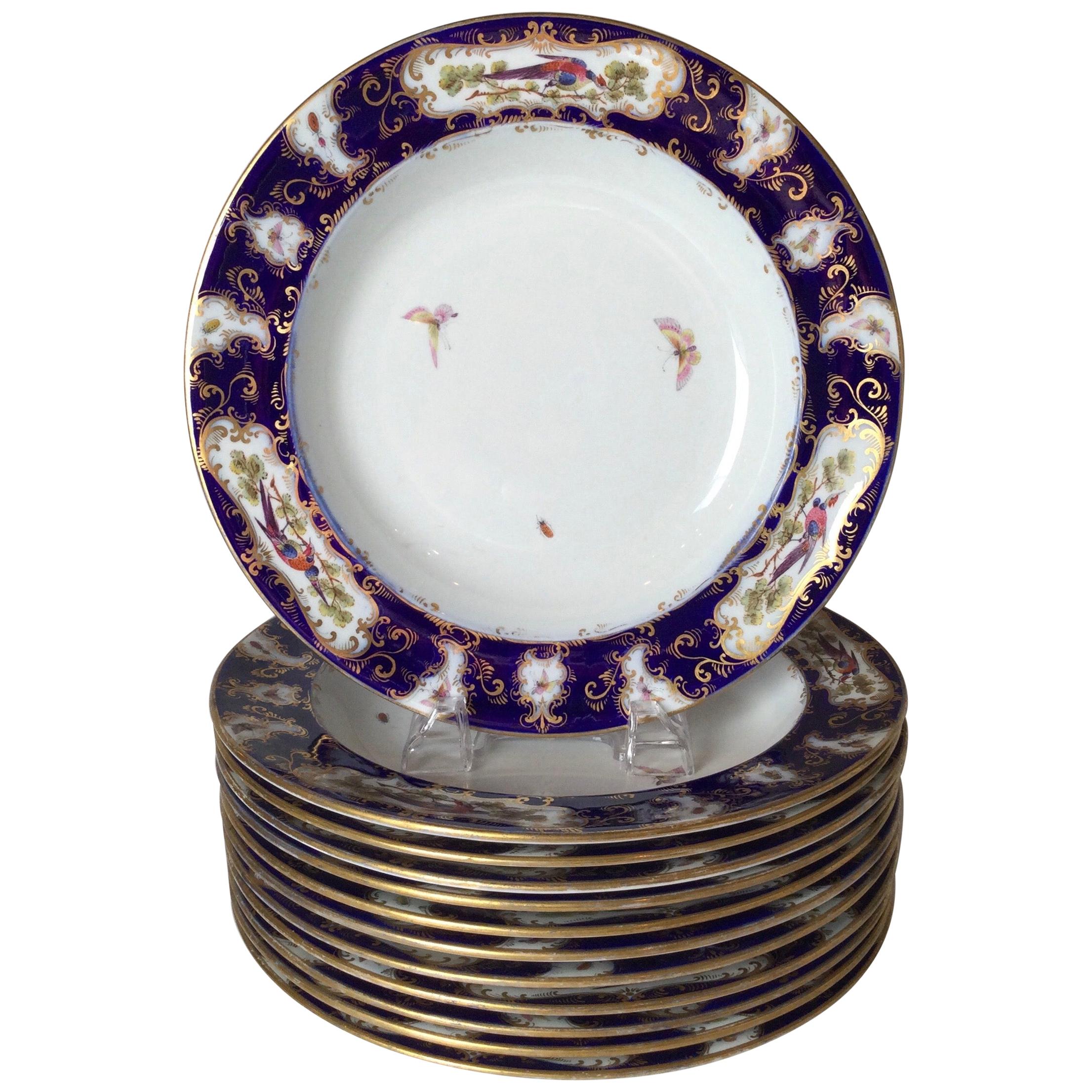 Set of 12 Worcester Porcelain Chelsea Bird Shallow Bowls For Sale