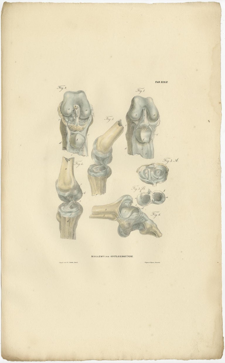 Set of 13 Antique Anatomy Prints of Ligaments and Joints, 1839 For Sale ...