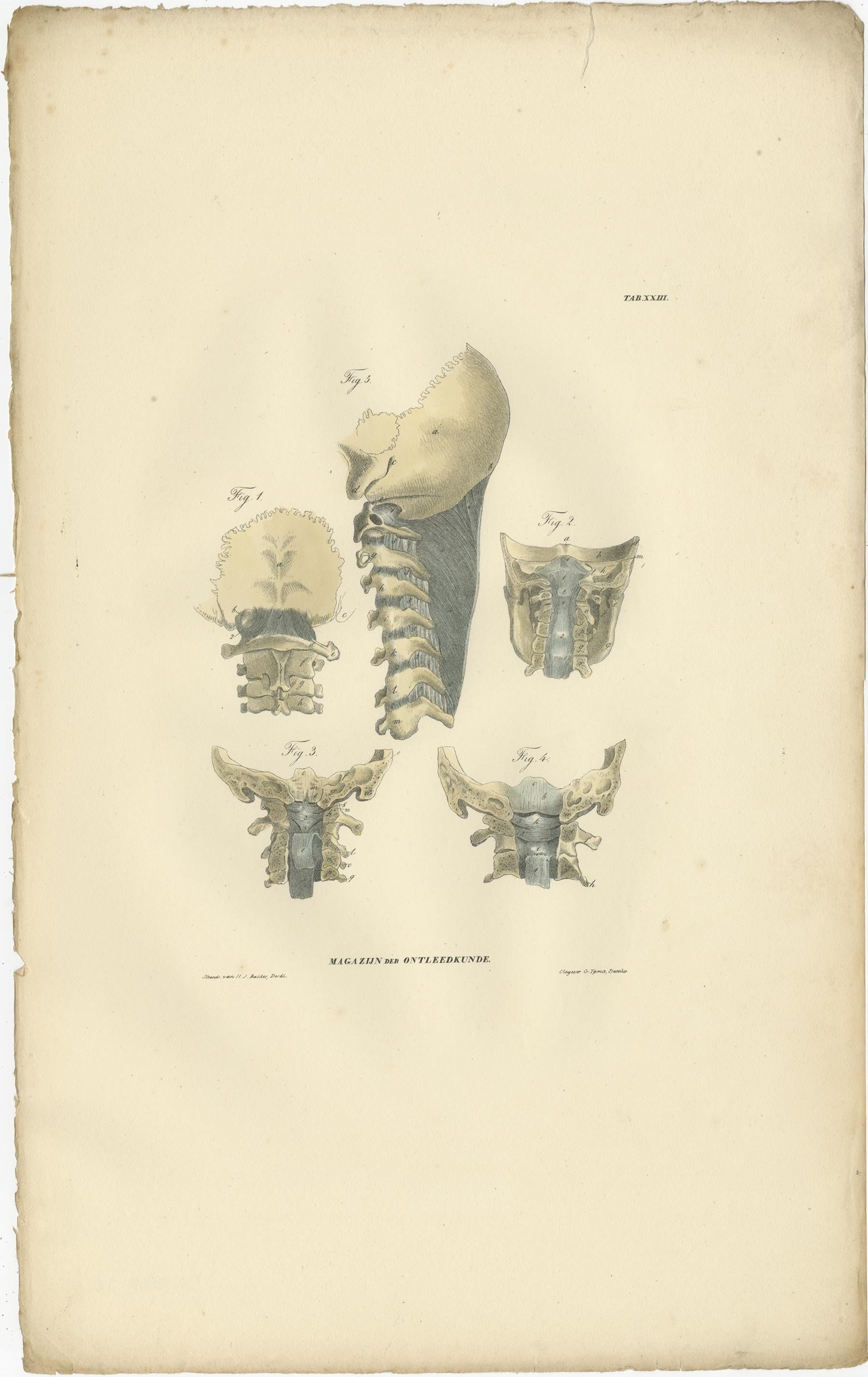 19th Century Set of 13 Antique Anatomy Prints of Ligaments and Joints, 1839 For Sale