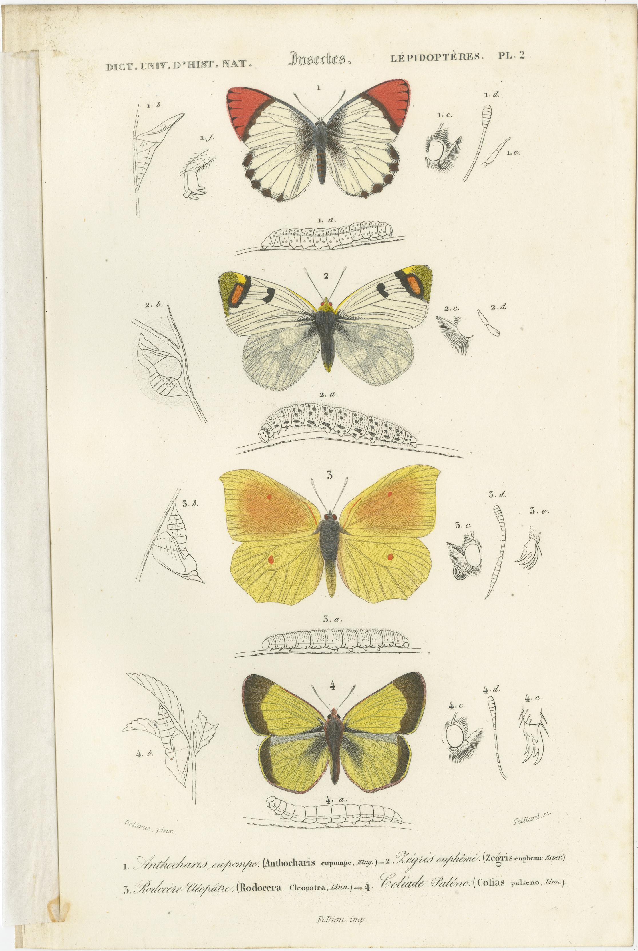 Set of 13 Antique Prints of Butterflies and Moths In Good Condition For Sale In Langweer, NL