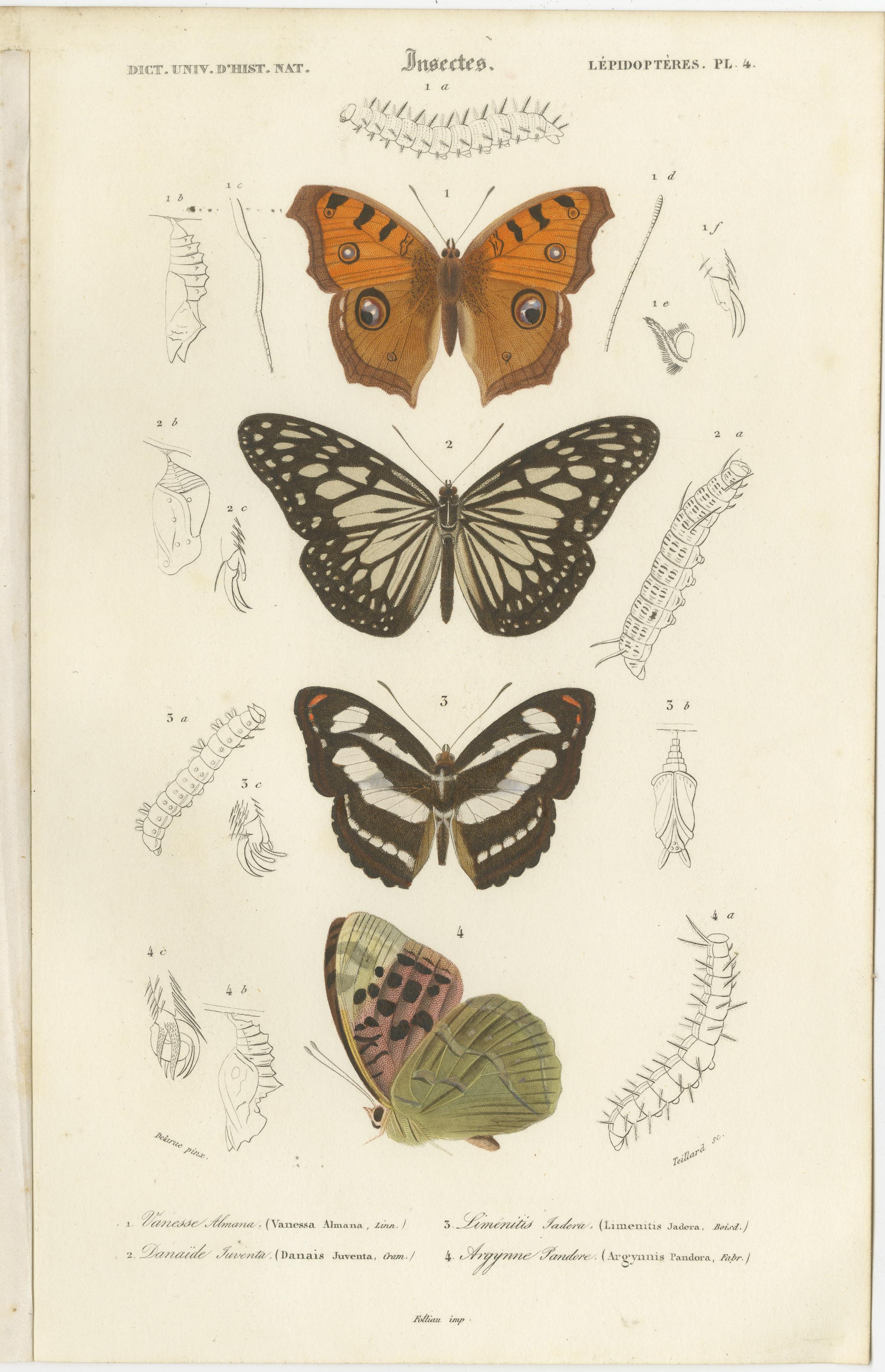 Paper Set of 13 Antique Prints of Butterflies and Moths For Sale