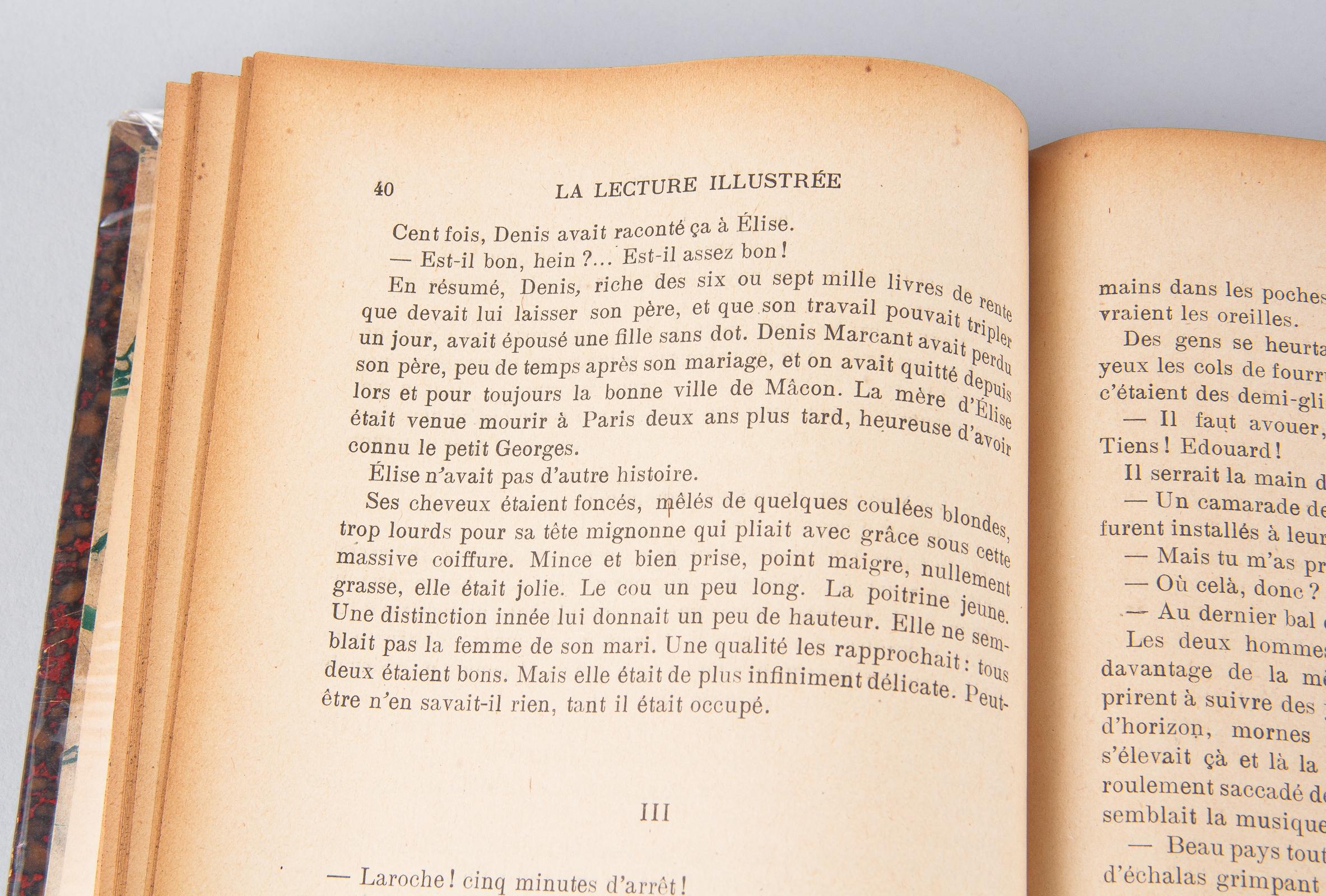 Leather Bound French Books-La Lecture Illustree, Late 1800s 6