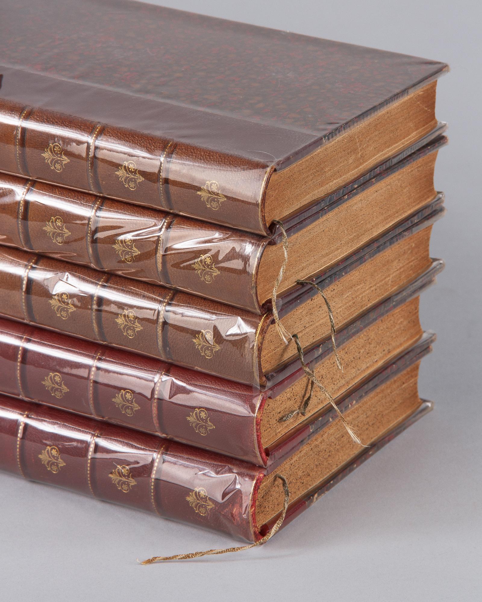 Leather Bound French Books-La Lecture Illustree, Late 1800s 2