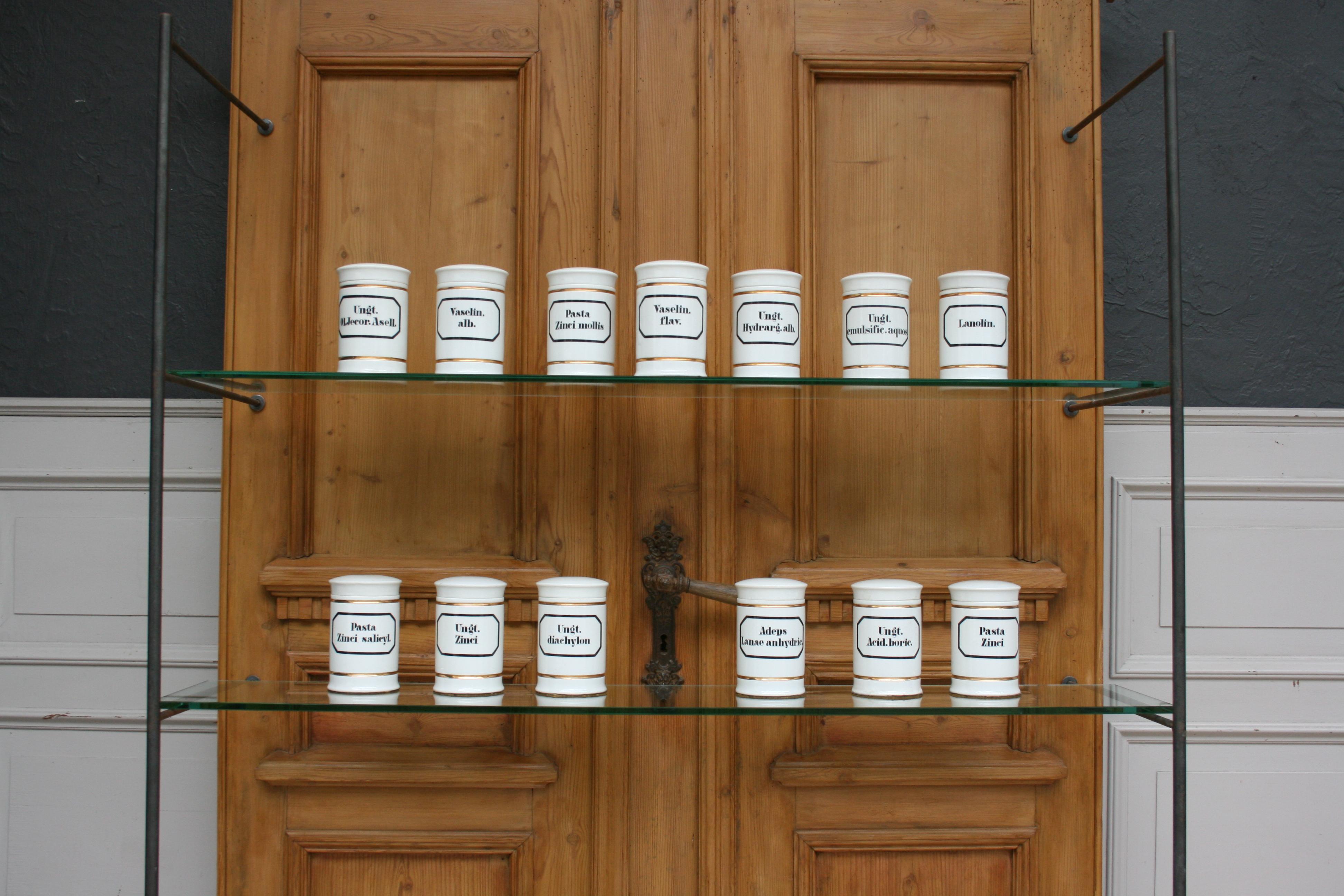 Set of 13 original early 20th century German apothecary jars made of porcelain. All have the same size and the same gilded decoration. The different intended contents of each jar is stenciled in Latin on the front and always in cursive on the inside