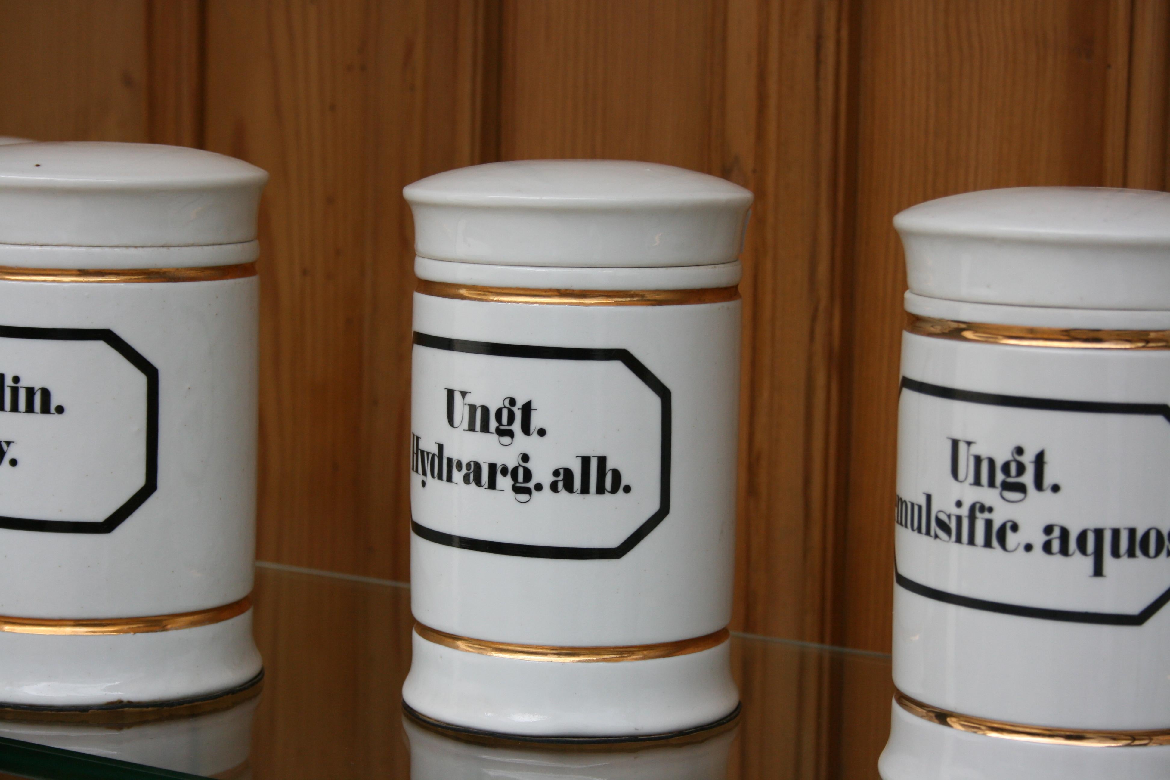 Set of 13 German Apothecary Pharmacy Jars, Early 20th Century 1