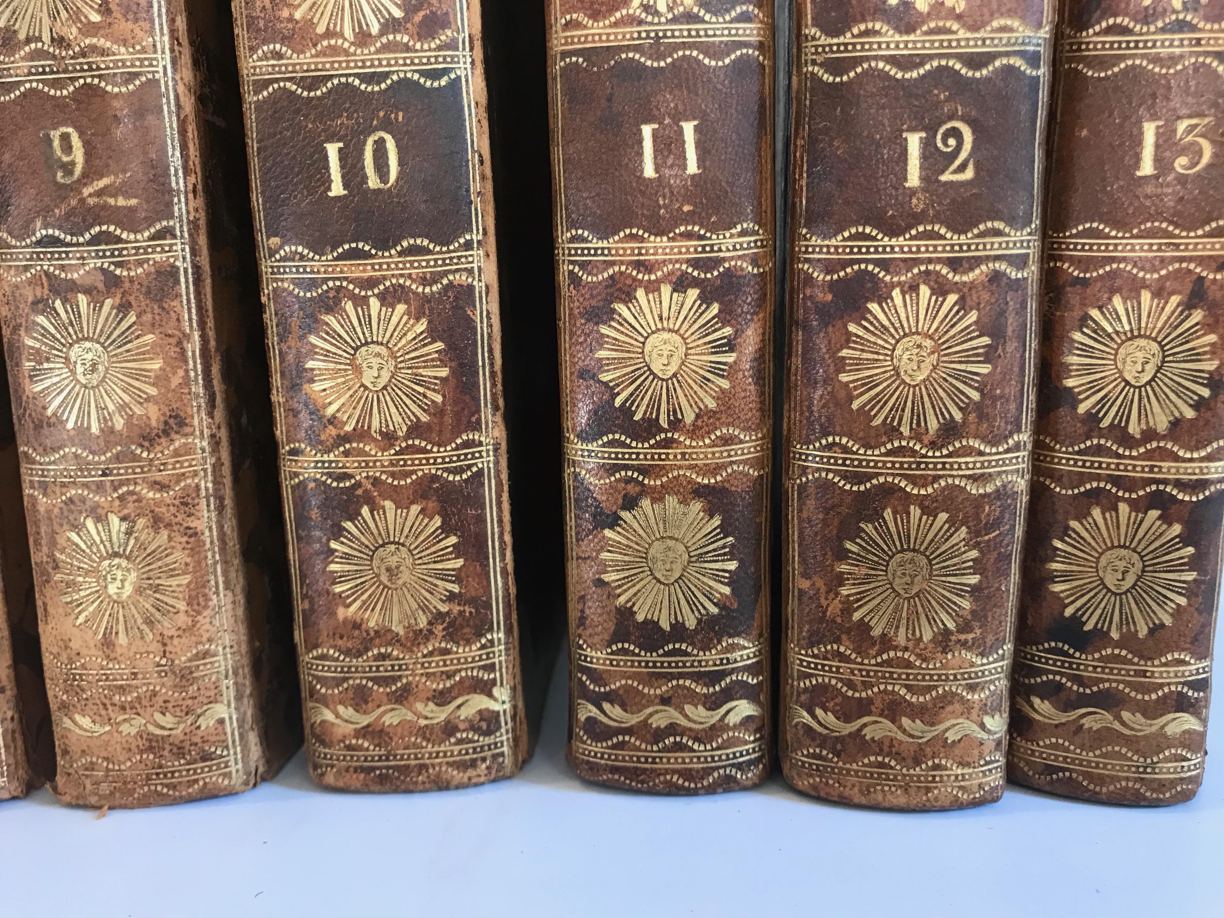 Set of 13 Volumes Antique Leather Books For Sale 5