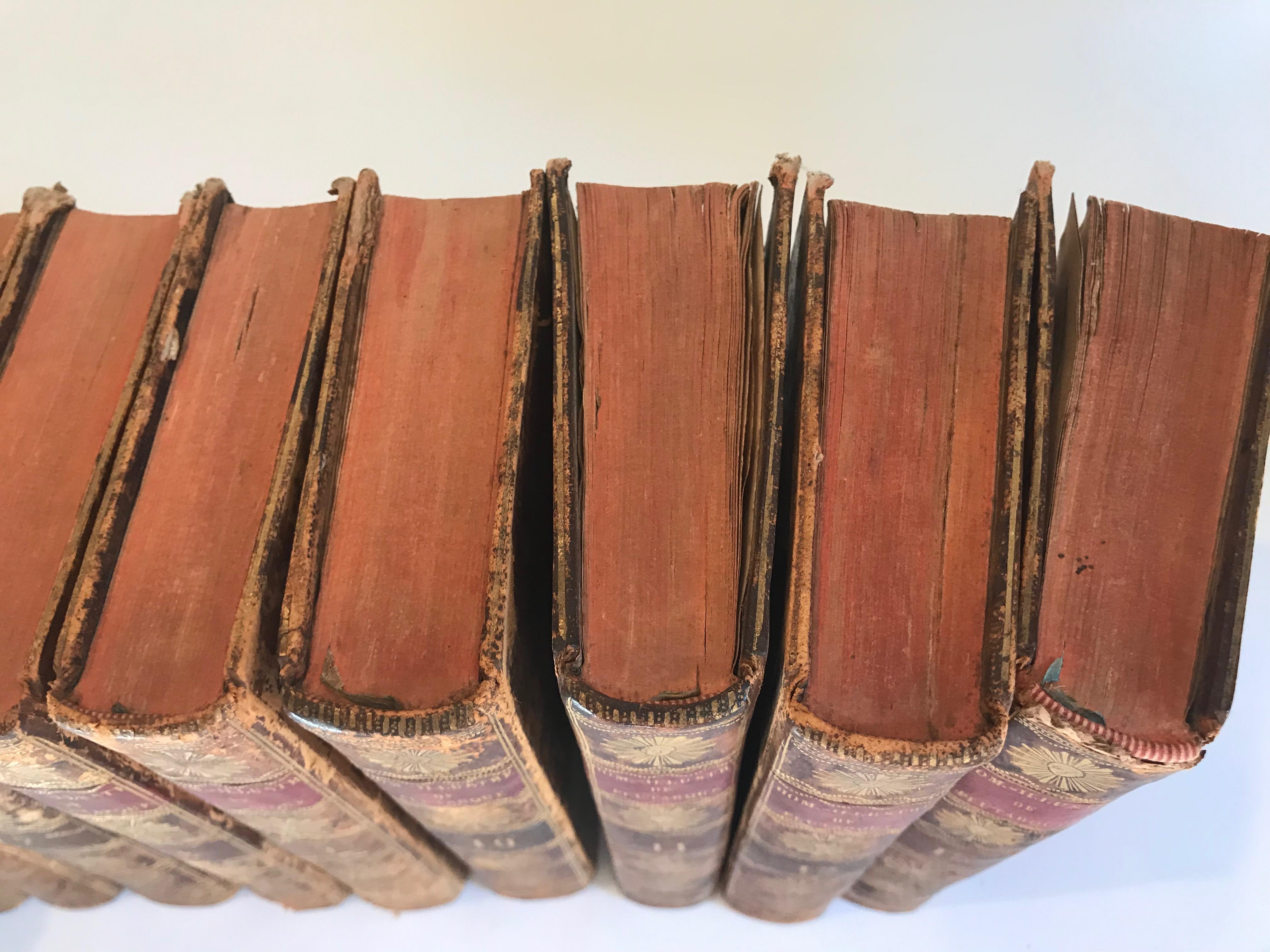 Set of 13 Volumes Antique Leather Books For Sale 6