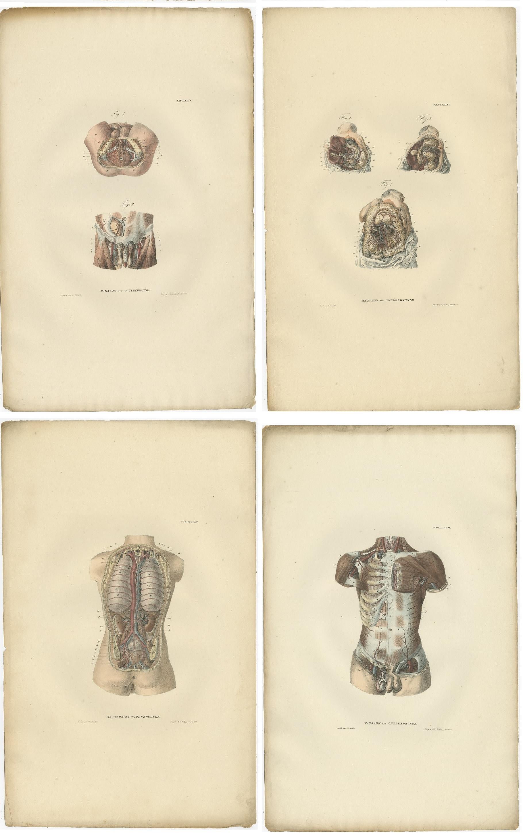 Set of 14 Antique Anatomy Prints of Angiology '1839' In Good Condition For Sale In Langweer, NL