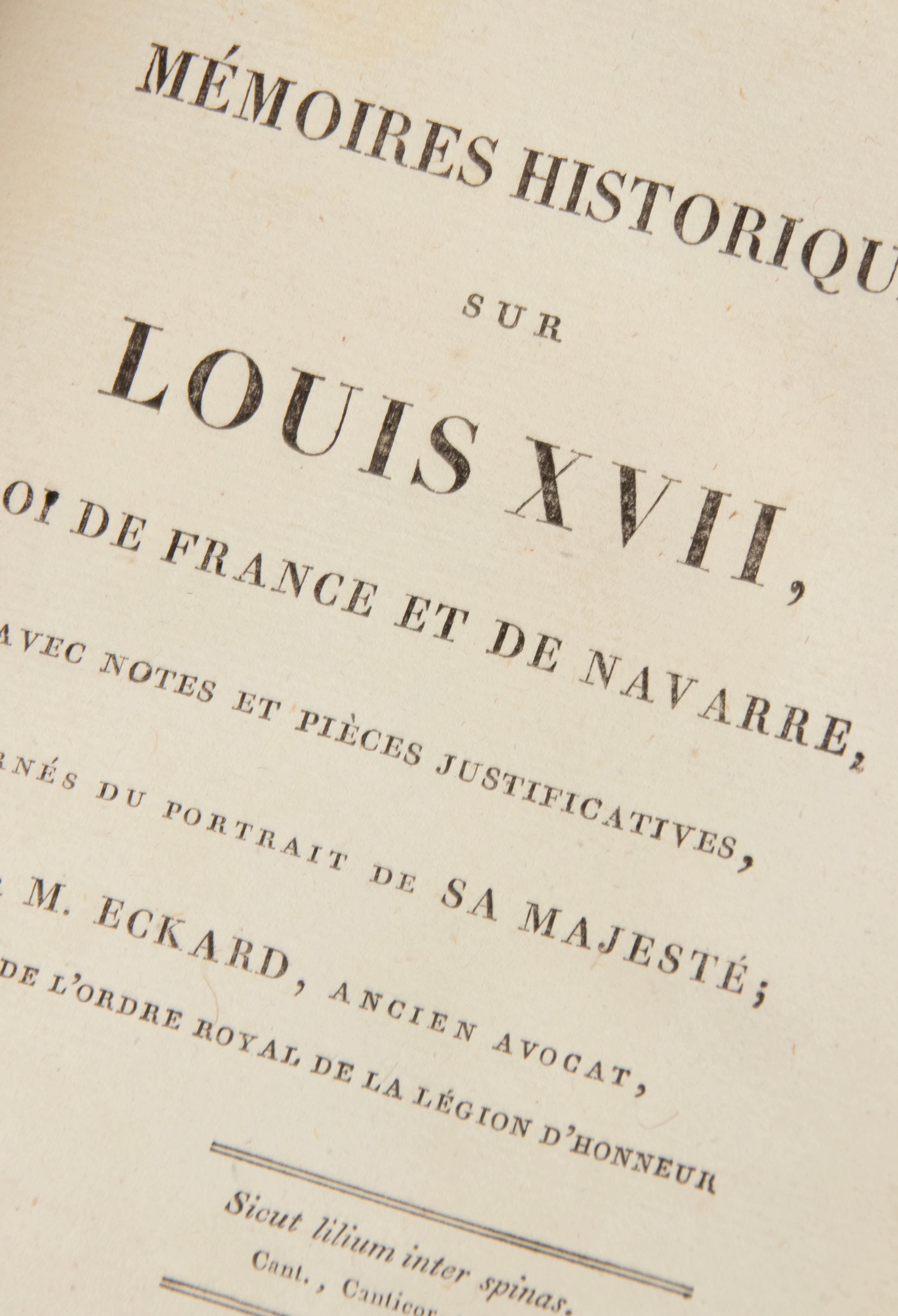 Ensemble de 14 livres de reliure français anciens en cuir pour la décoration 13