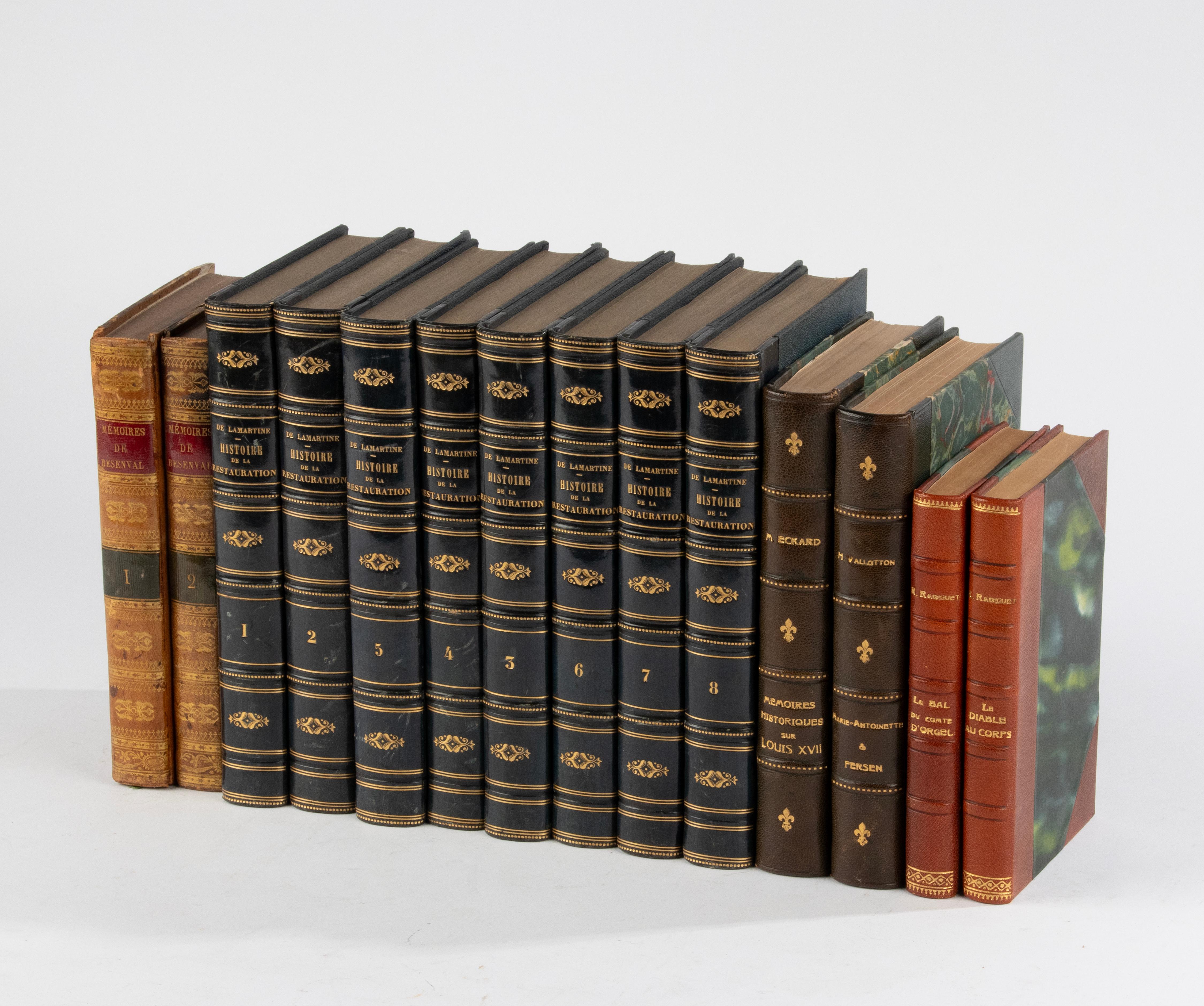 Set of 14 Antique French Leather Binding Books for Decoration In Good Condition For Sale In Casteren, Noord-Brabant