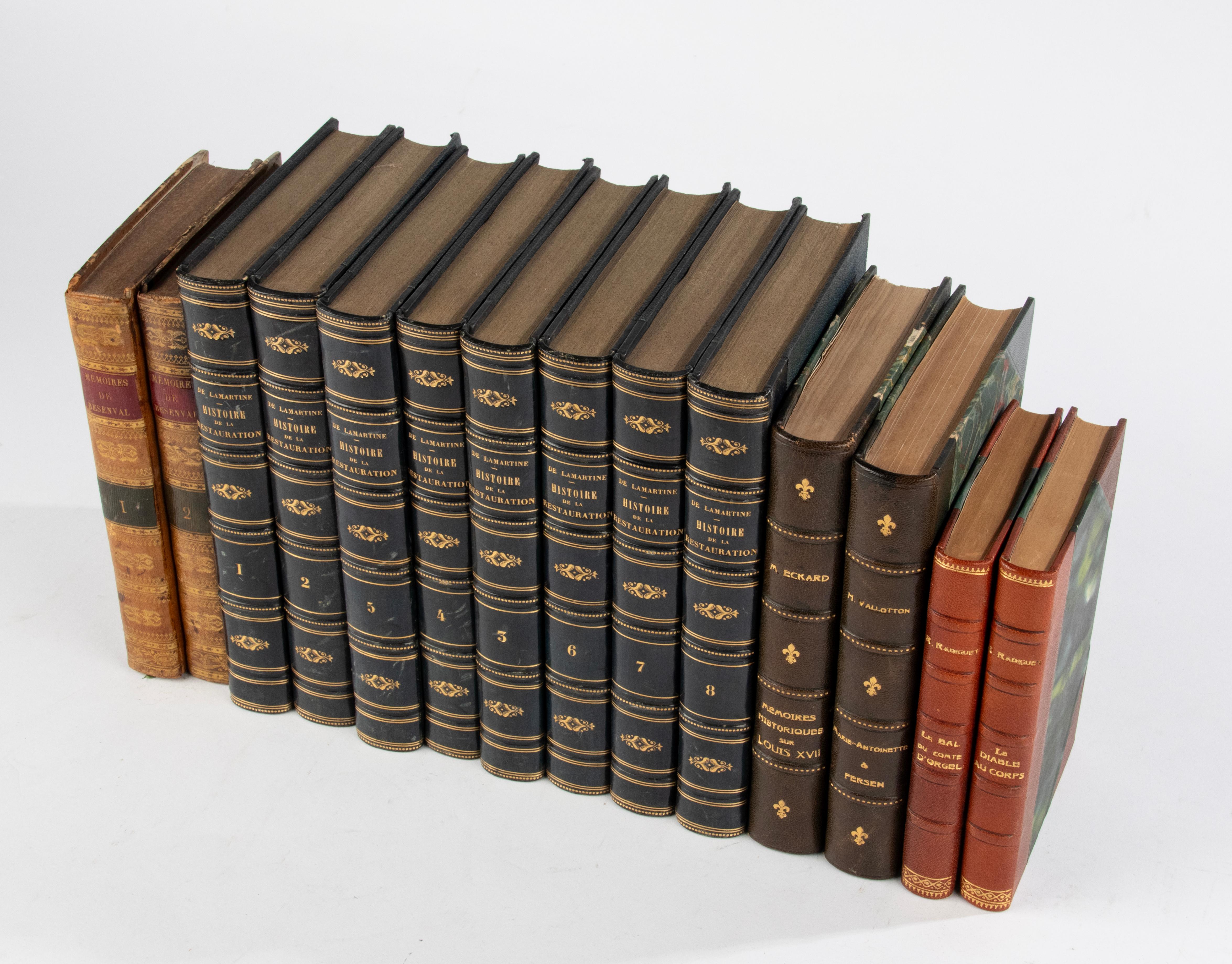 Set of 14 Antique French Leather Binding Books for Decoration For Sale 1