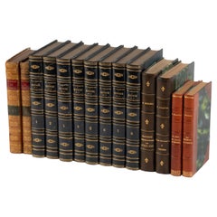 Set of 14 Antique French Leather Binding Books for Decoration