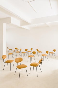 Set di 14 sedie con rivestimento in ferro e seta, anni '50, Brasile, metà del secolo scorso