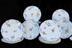 Set of 14 Hand-Painted Sèvres Porcelain Dinner Plates, 18th Century