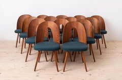 Set of 14 Mid Century Dining Chairs by A. Šuman, 1960s, Customizable Upholstery