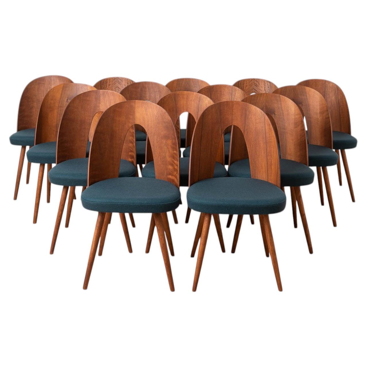 Set of 14 Mid Century Dining Chairs by A. Šuman, 1960s, Customizable Upholstery For Sale