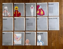 Set of (14) Vintage Anatomy Charts by American Map Co. - sold individually