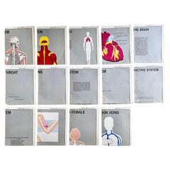 Set of (14) Vintage Anatomy Charts by American Map Co. - sold individually