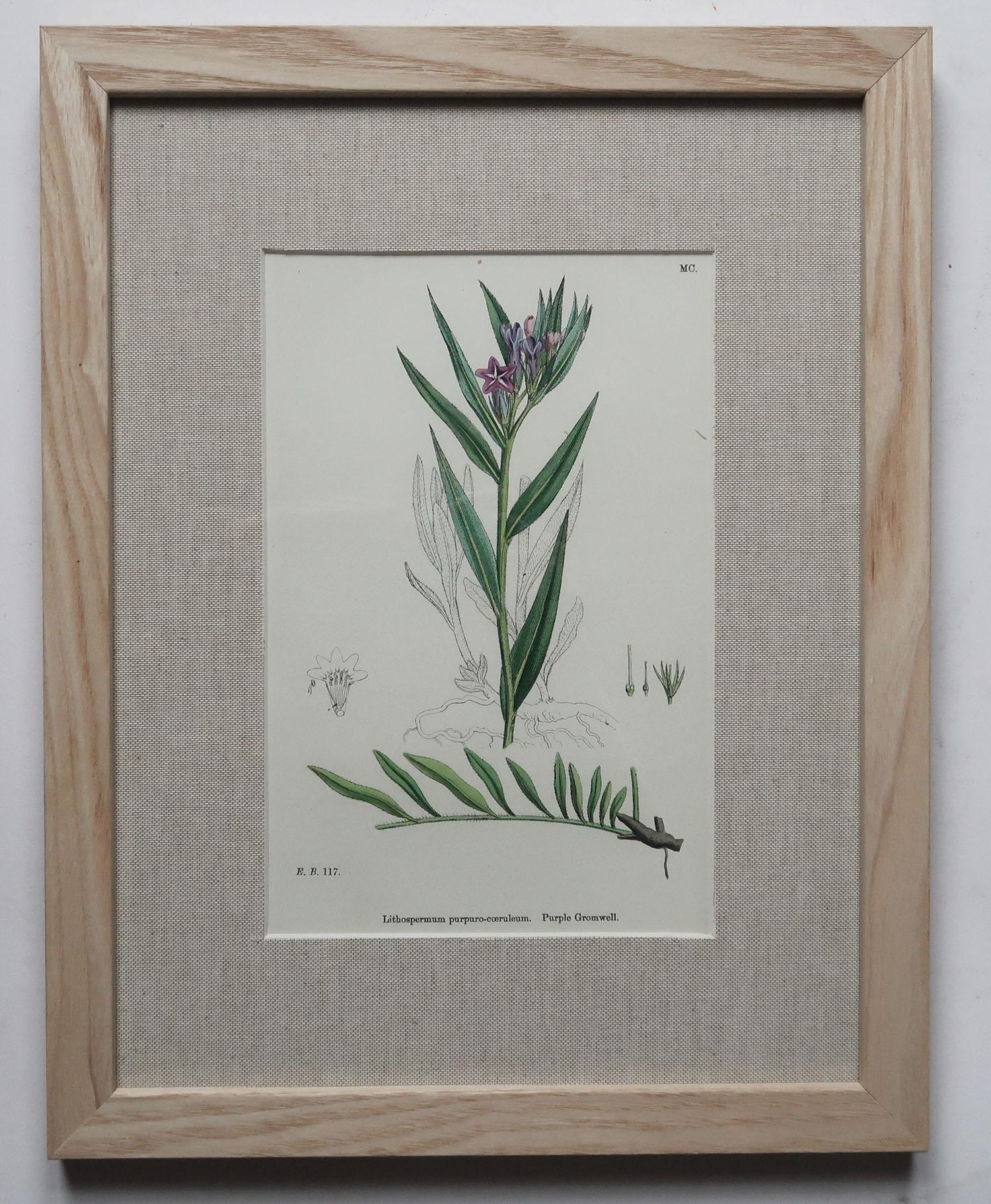 Set of 15 Original Antique Botanical Prints in Ash Frames, C.1850 In Good Condition In St Annes, Lancashire