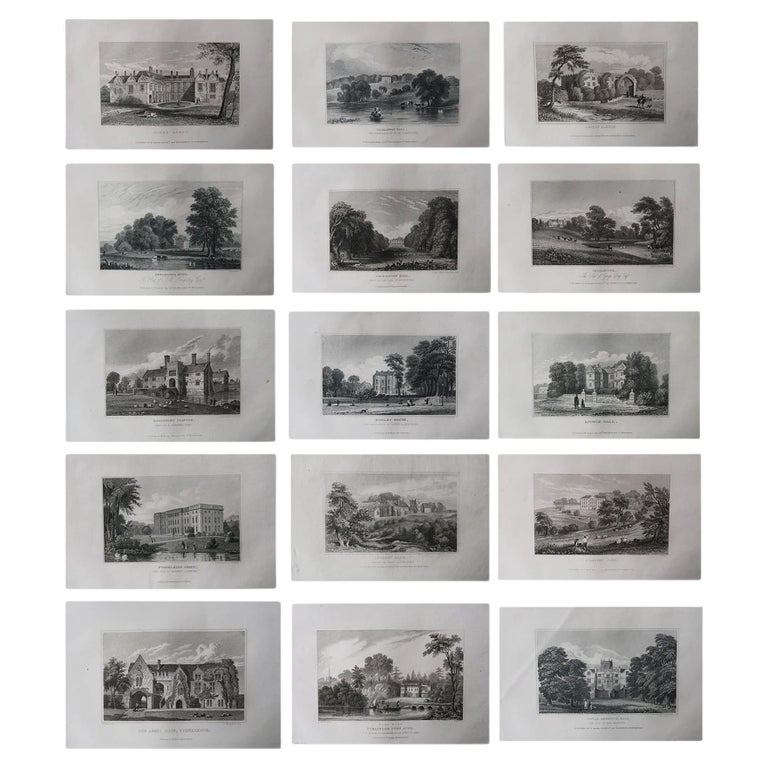 Set di 15 stampe antiche originali di case e giardini di campagna inglesi,  1829 in vendita su 1stDibs | stampe antiche inglesi, stampe originali