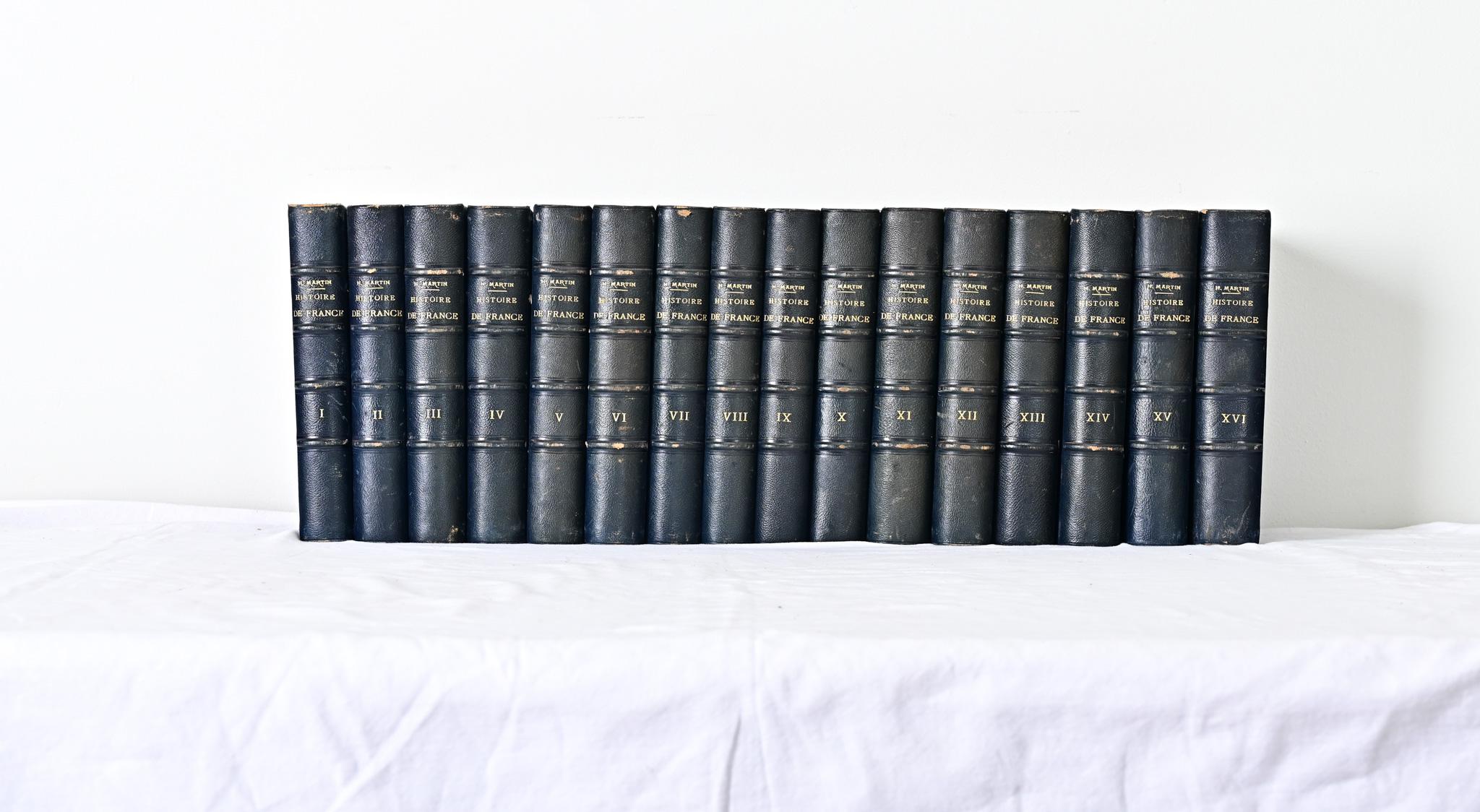 Other Set of 16 Books on the History of France by Henri Martin For Sale