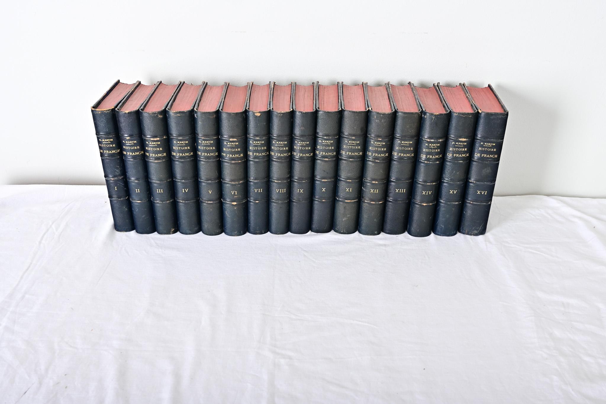 French Set of 16 Books on the History of France by Henri Martin For Sale