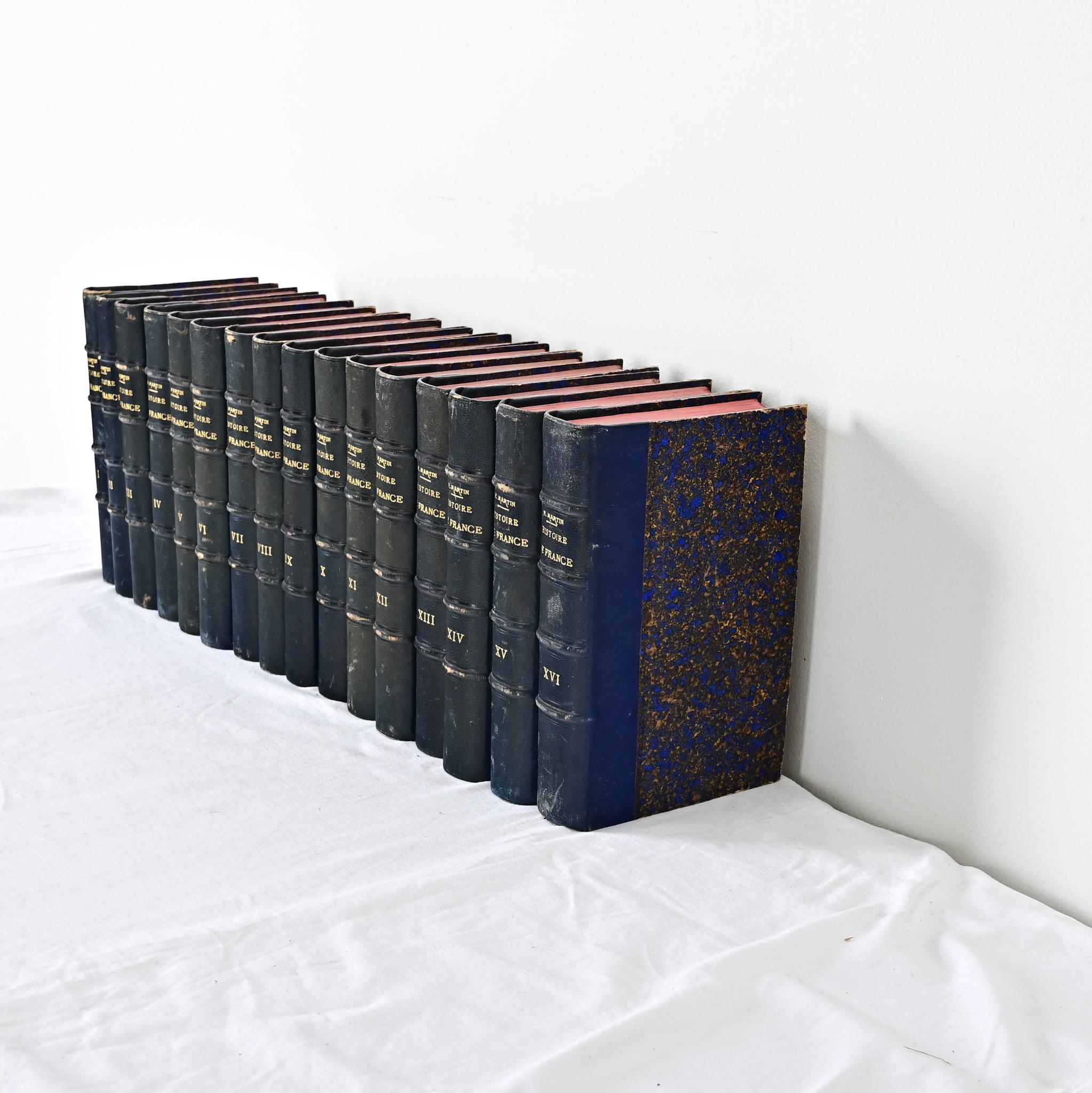 Other Set of 16 Books on the History of France by Henri Martin For Sale