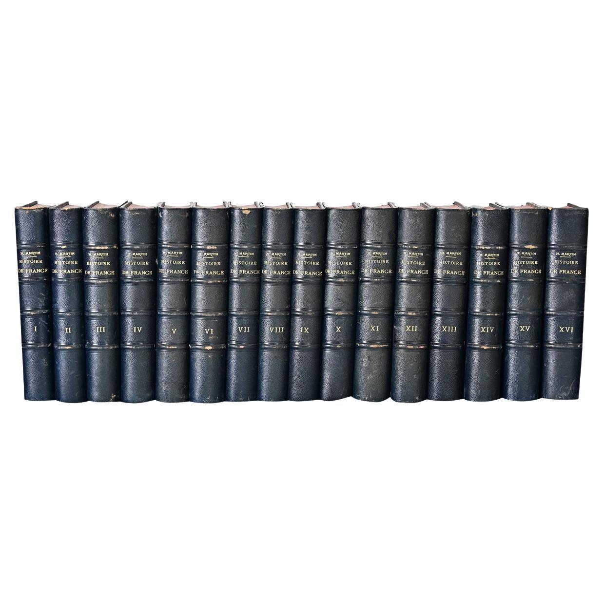 Set of 16 Books on the History of France by Henri Martin For Sale
