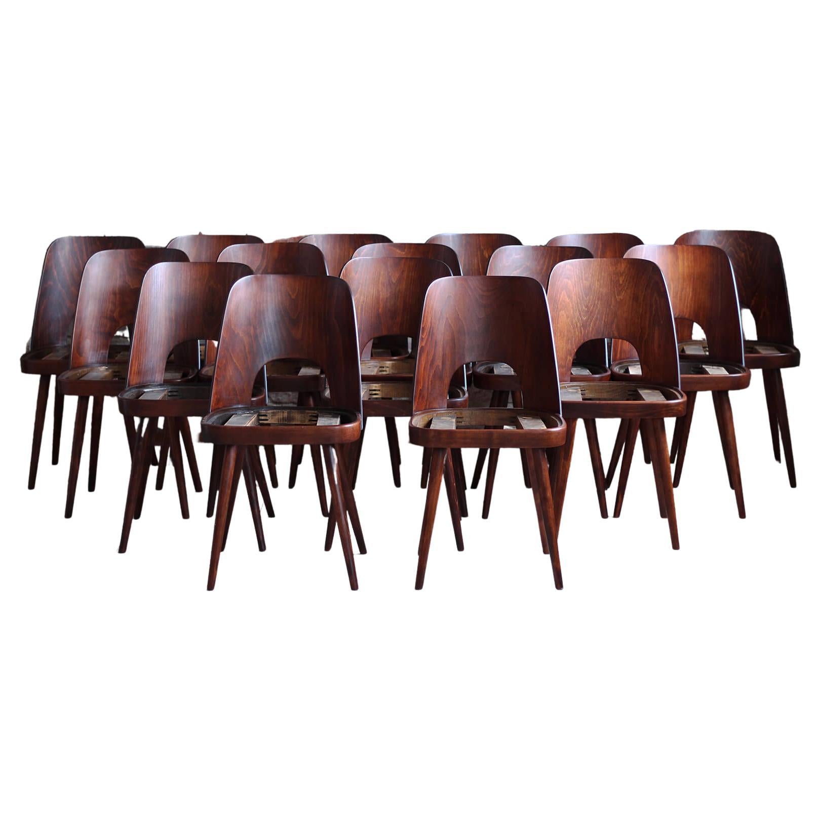 Set of 16 Dining Chairs by Oswald Haerdtl, Customizable Reupholstery