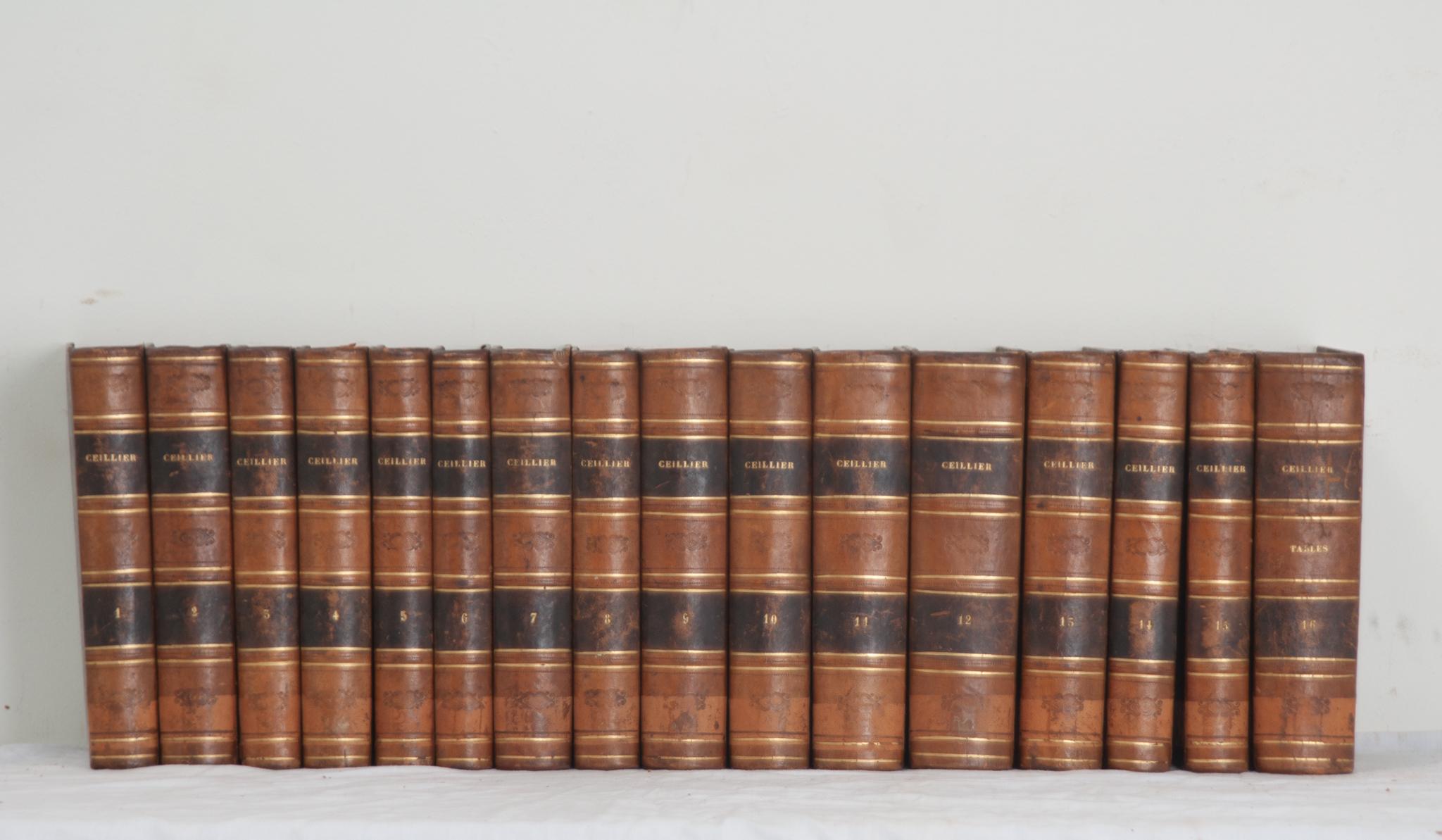 Hand-Crafted Set of 16 French 19th Century History Books For Sale