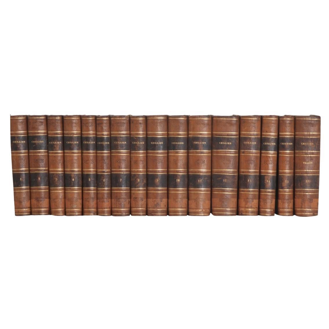 Set of 16 French 19th Century History Books For Sale