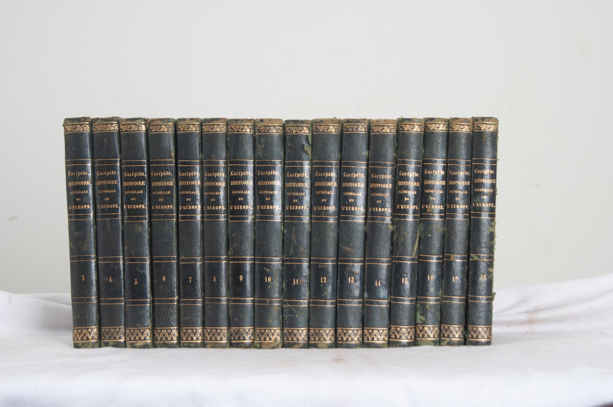 Set of 16 French History Books by M. LeCount de Lacépede In Good Condition For Sale In Baton Rouge, LA