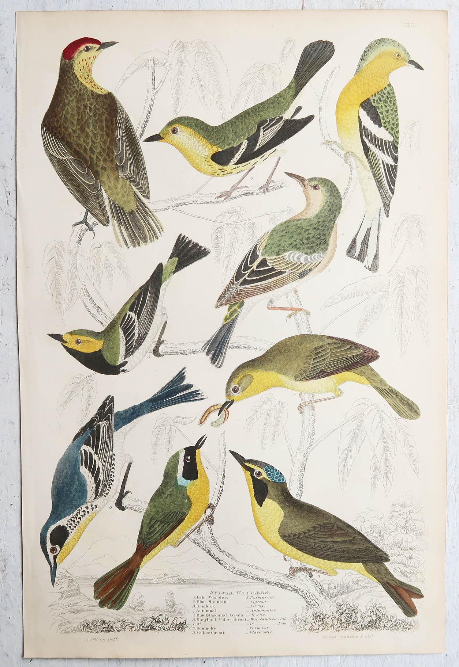 Conjunto de 16 Grandes Grabados Antiguos Originales de Aves Exóticas, Década de 1830 en venta 2