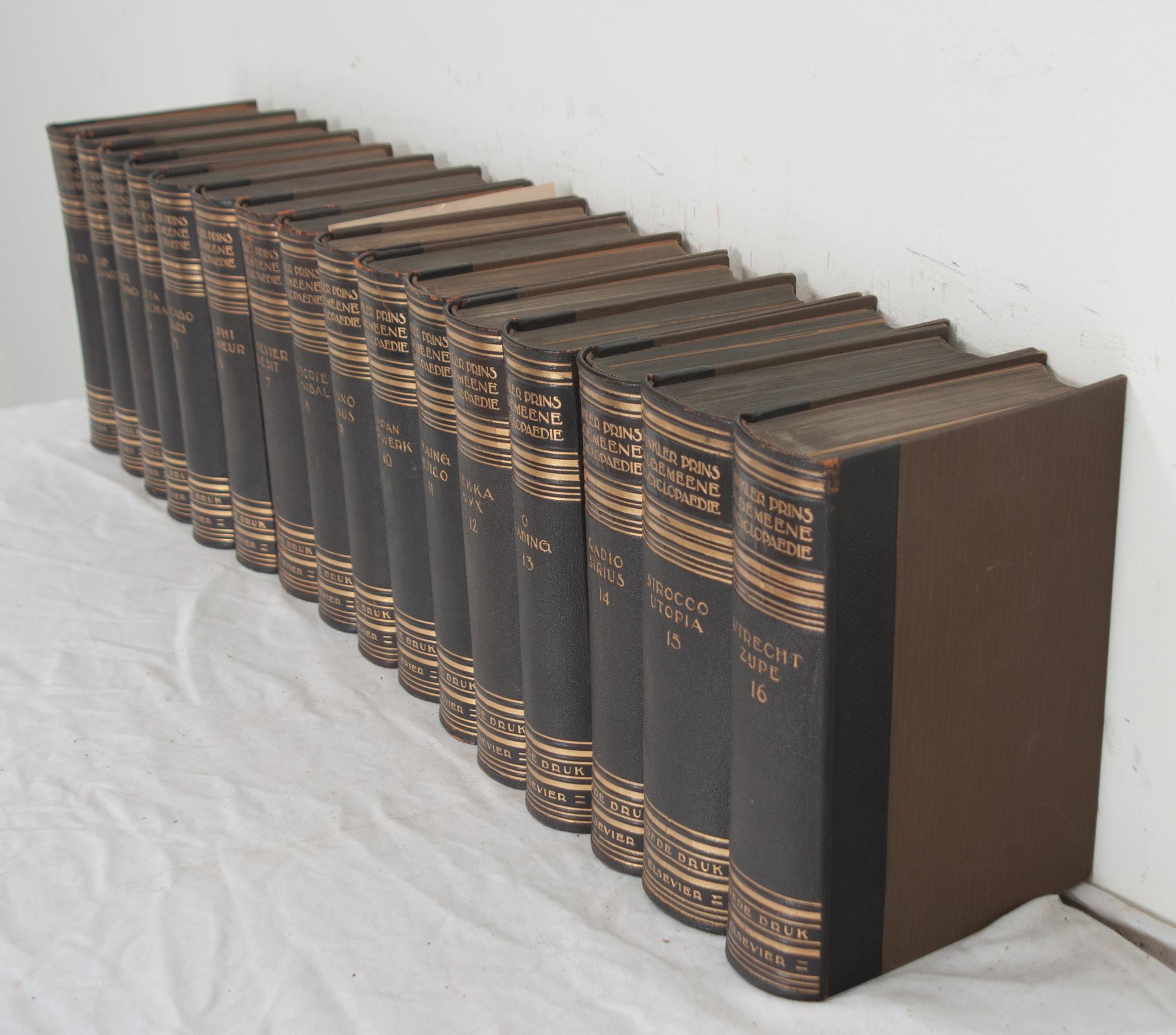 20th Century Set of 16 Leather Bound Dutch Encyclopedias For Sale