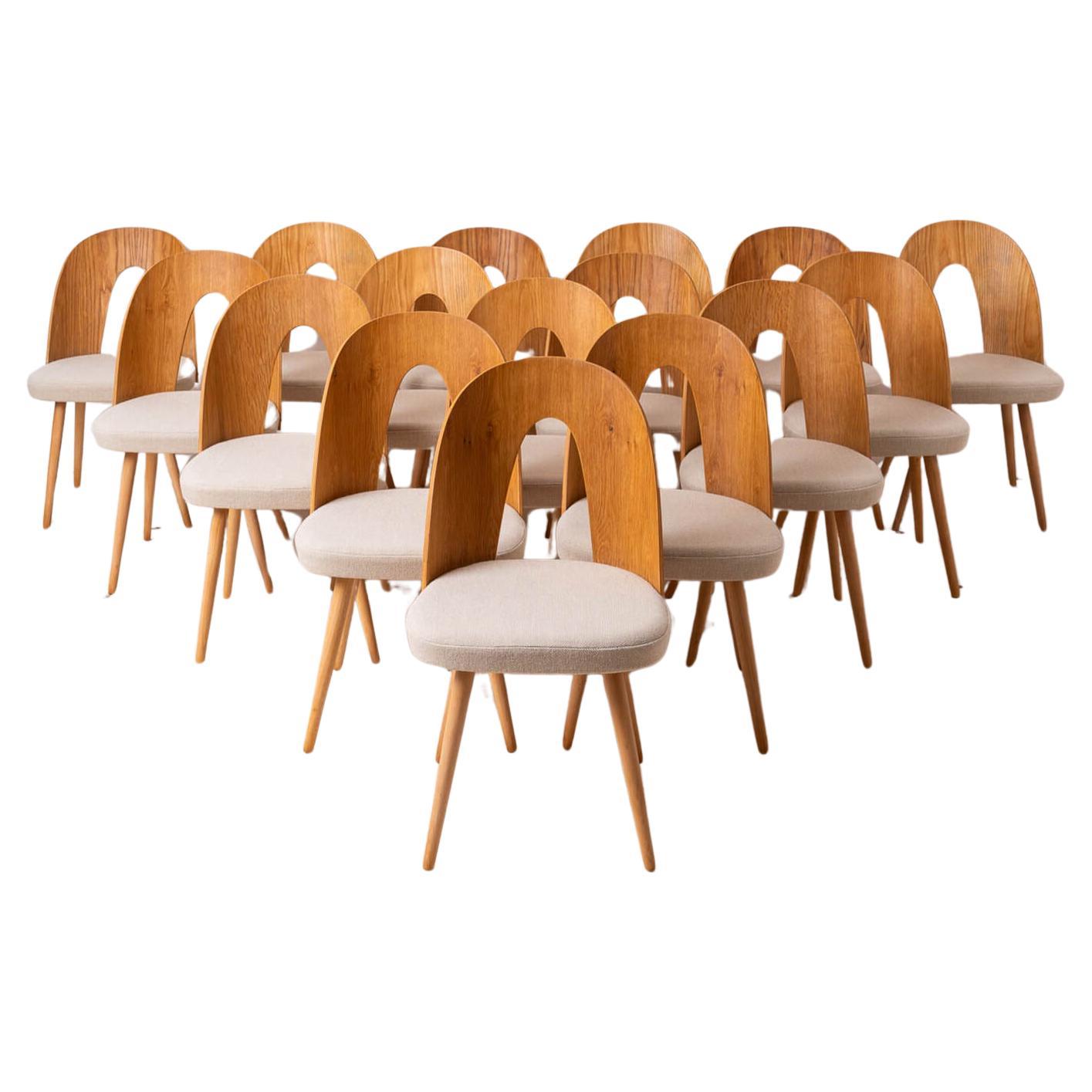 Juego de 16 sillas de comedor de mediados de siglo de A.Šuman, tapicería personalizable disponible
