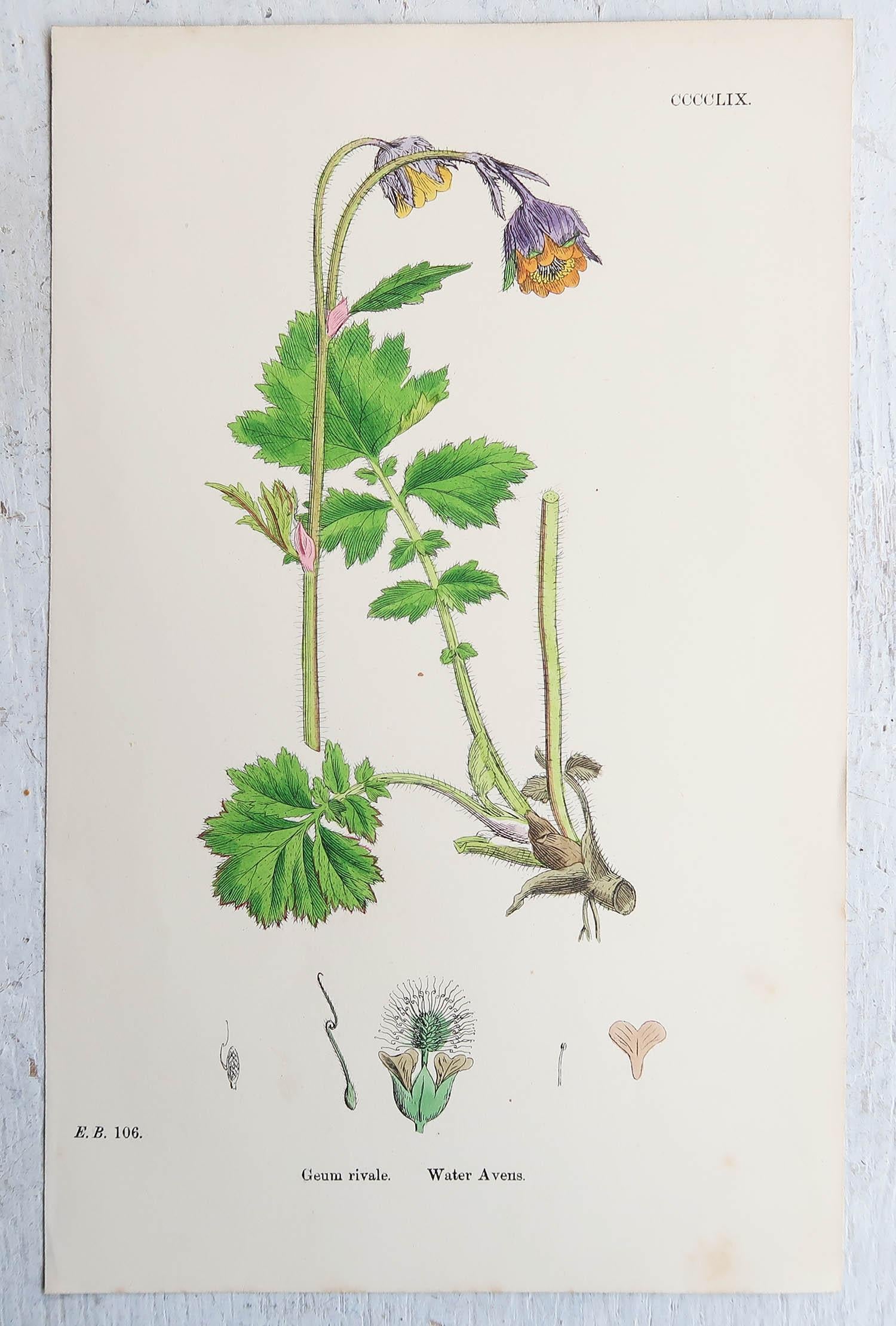 Mid-19th Century Set of 16 Original Antique Botanical Prints, circa 1850 For Sale