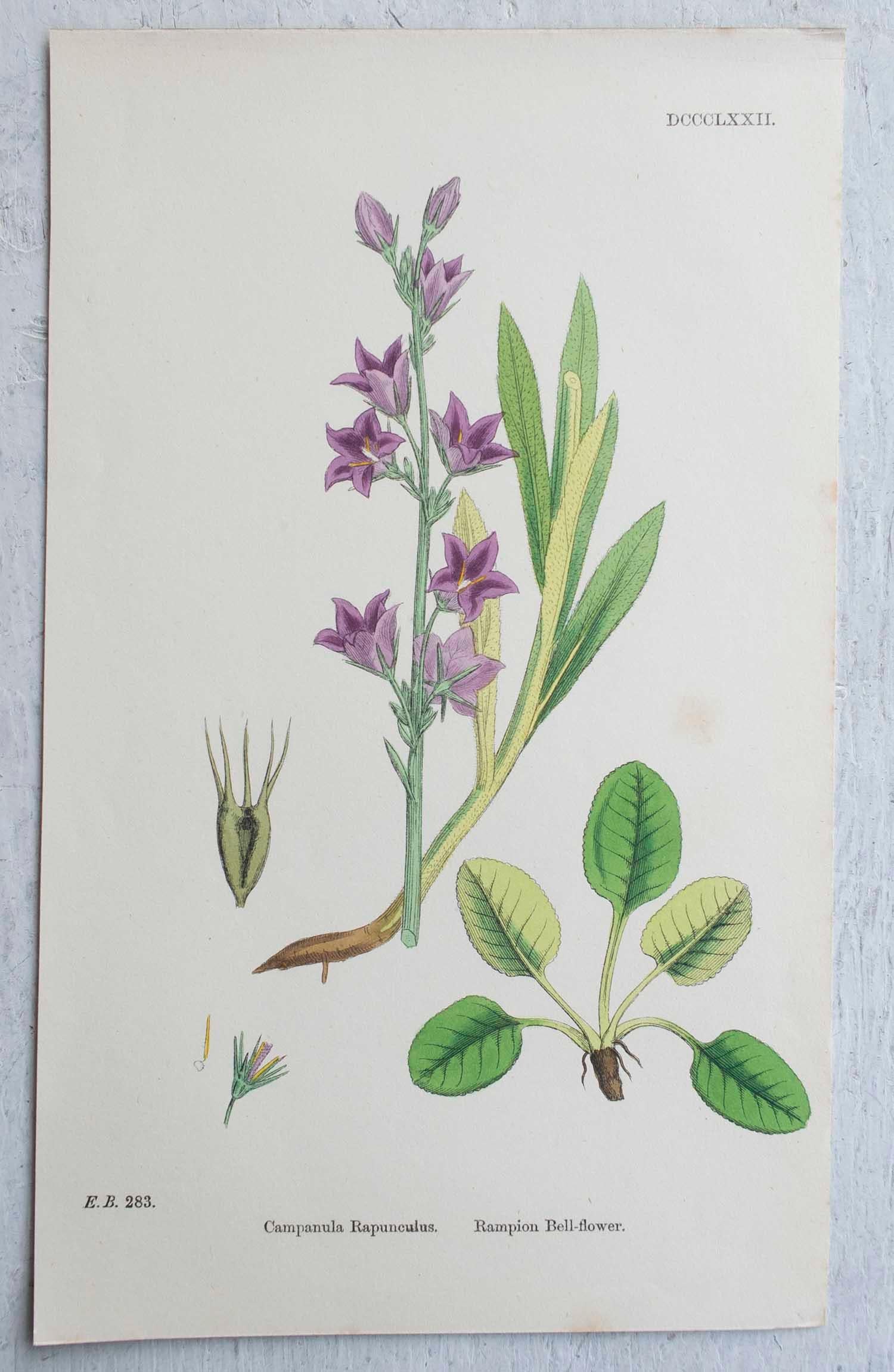 Mid-19th Century Set of 16 Original Antique Botanical Prints, circa 1850
