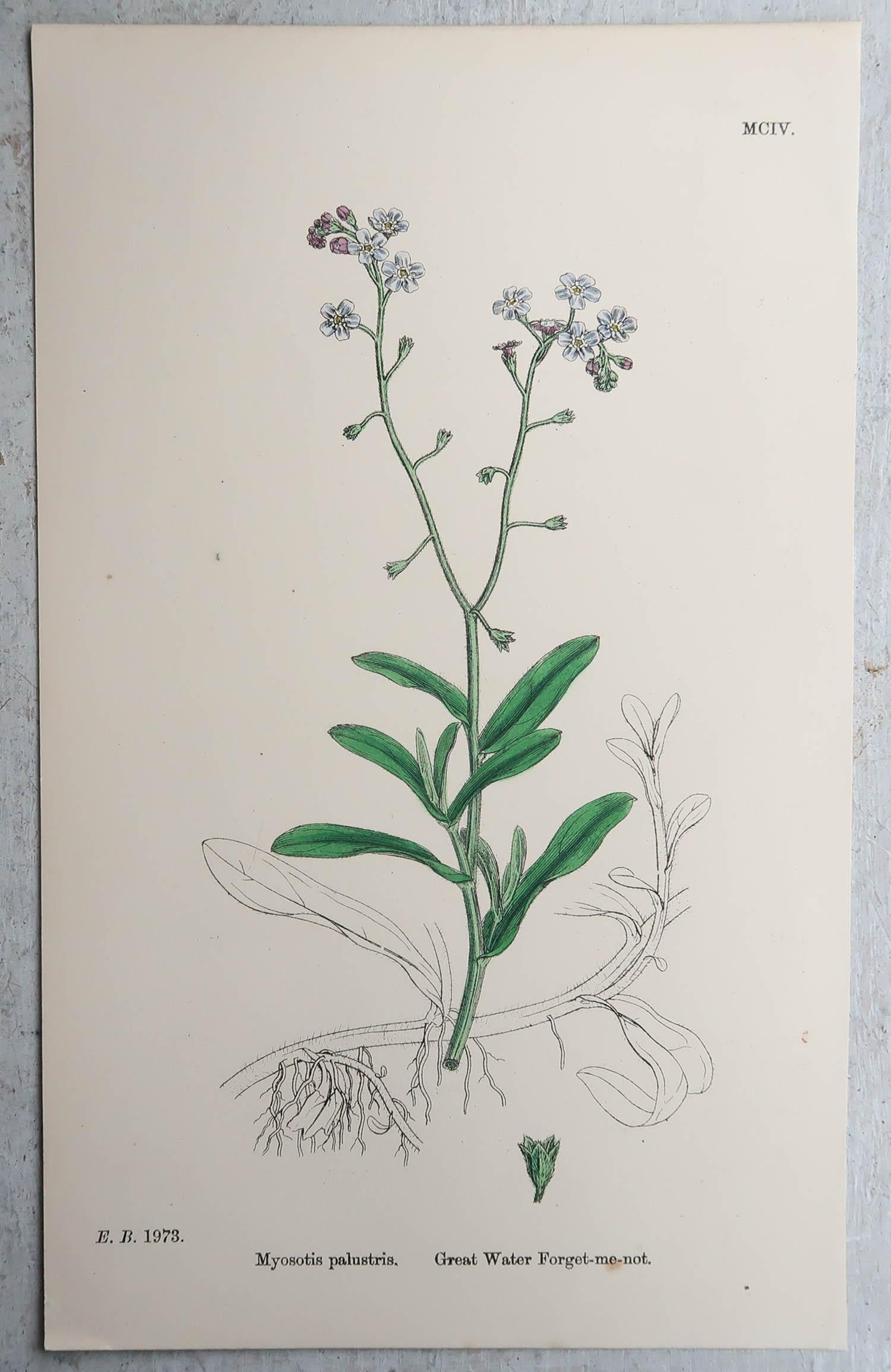 Set of 16 Original Antique Botanical Prints, circa 1850 For Sale 1