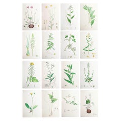 Prints
