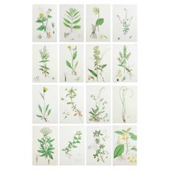 Decorative Art