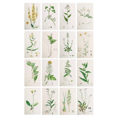 Decorative Art
